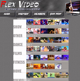 FlexVideo